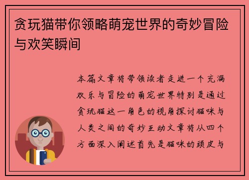贪玩猫带你领略萌宠世界的奇妙冒险与欢笑瞬间
